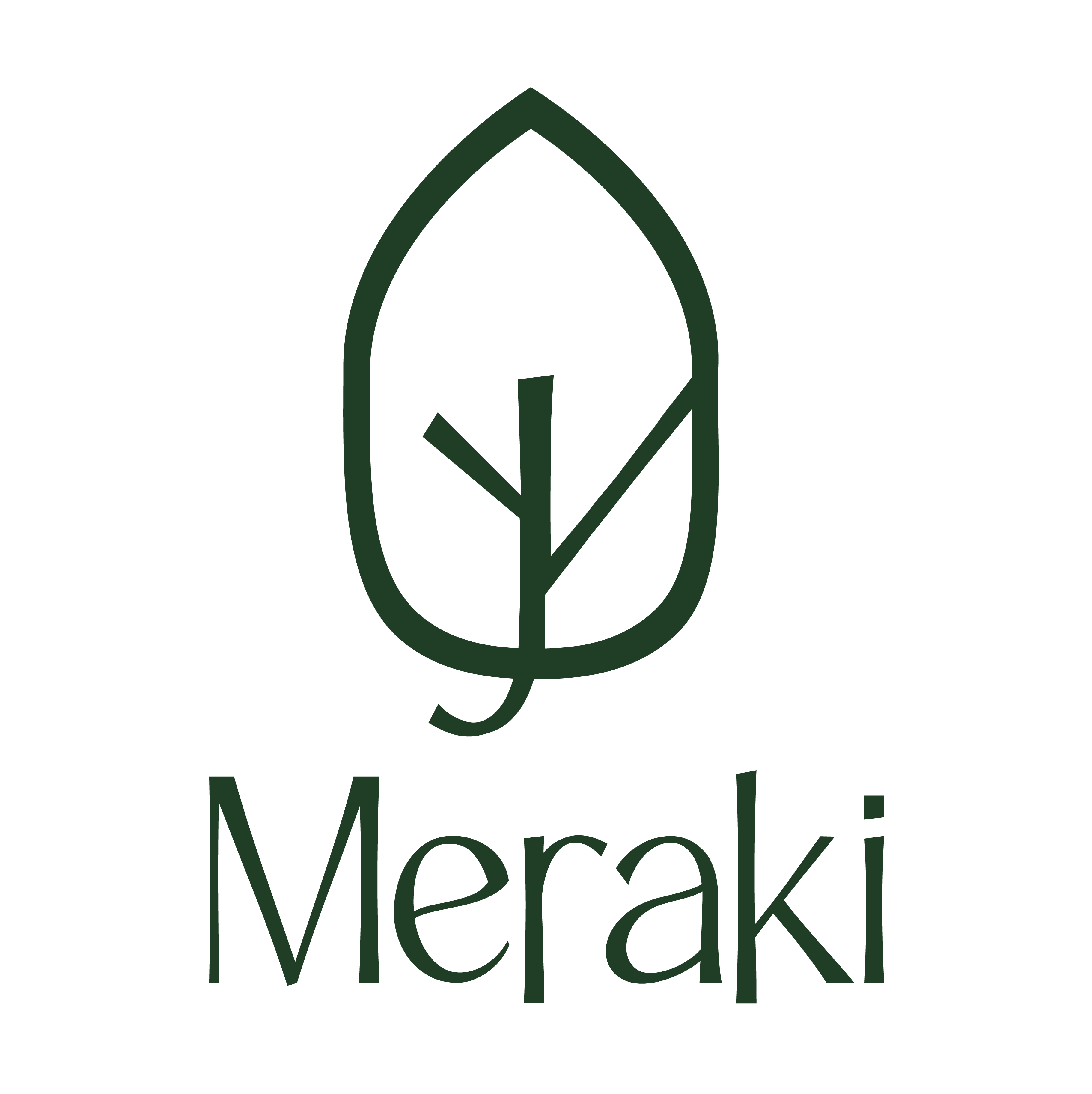 Meraki